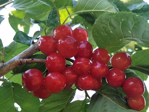 d8c0409de05993dd639de2a7ab4bbbf9~tplv-a9rns2rl98-pc_smart_face_crop-v1_512_384